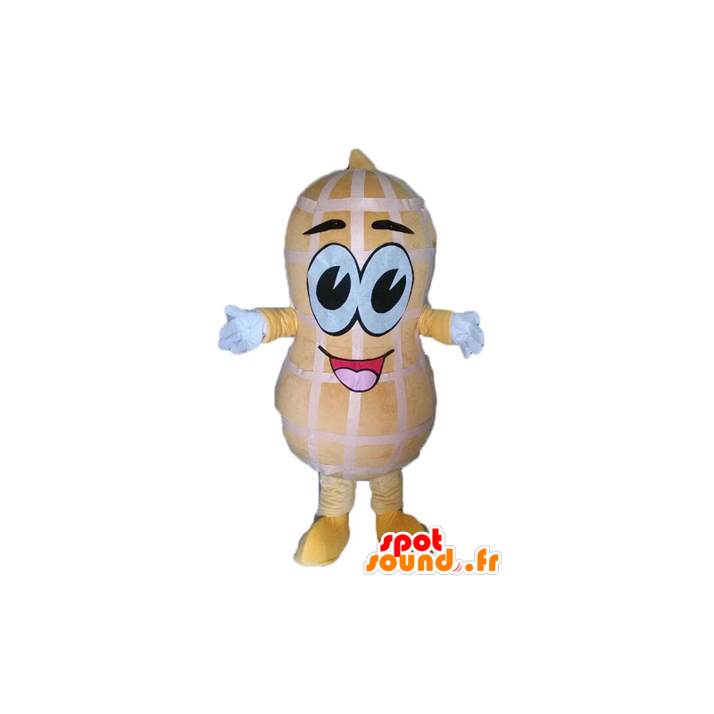 Mascot giant peanut. Peanut mascot - MASFR028544 - Fast food mascots