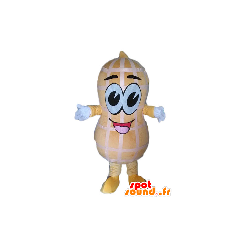 Mascotte di arachidi gigante. arachidi mascotte - MASFR028544 - Mascotte di fast food