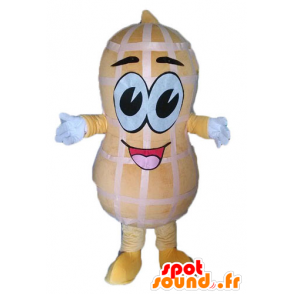 Μασκότ γίγαντας φυστίκι. Peanut μασκότ - MASFR028544 - Fast Food Μασκότ