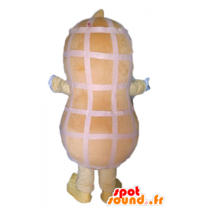 Mascot obří arašídové. Peanut Maskot - MASFR028544 - Fast Food Maskoti