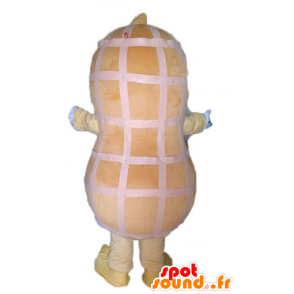 Mascot gigantisk peanøtt. peanut Mascot - MASFR028544 - Fast Food Maskoter