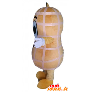 Mascot giant peanut. Peanut mascot - MASFR028544 - Fast food mascots