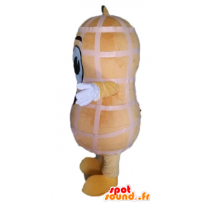 Mascot amendoim gigante. amendoim Mascot - MASFR028544 - Rápido Mascotes Food