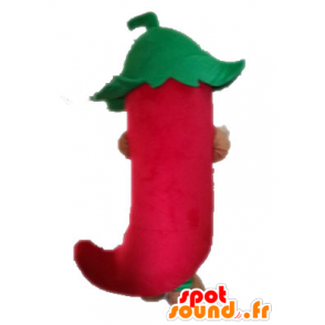 Mascotte de piment rouge géant. Mascotte d'épice mexicaine - MASFR028555 - Mascotte de légumes