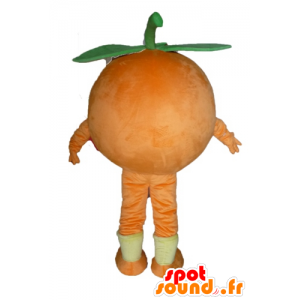 Giant orange mascot. Mascot fruity dessert - MASFR028563 - Fruit mascot