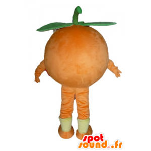 Kæmpe orange maskot. Frugtfuld dessertmaskot - Spotsound maskot