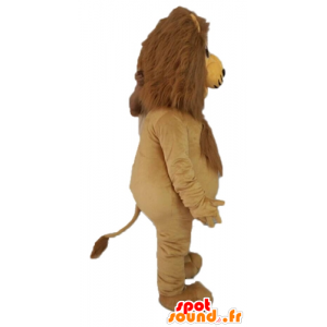 La mascota del león gigante. mascota felina - MASFR028590 - Mascotas de León