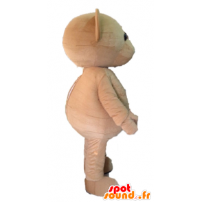 Brun teddy maskot. Mascot bamse - MASFR028593 - bjørn Mascot