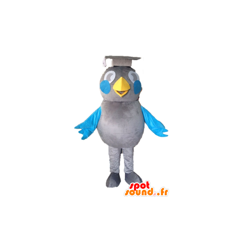 Mascot gray and blue bird. Mascot graduate - MASFR028595 - Mascot of birds