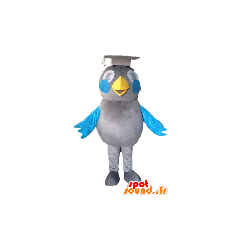 Grå och blå fågelmaskot. Graduate maskot - Spotsound maskot