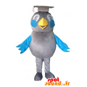 Gris de la mascota y el pájaro azul. graduado de la mascota - MASFR028595 - Mascota de aves