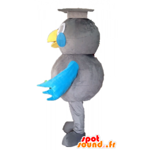 Mascote cinza e pássaro azul. mascote de pós-graduação - MASFR028595 - aves mascote