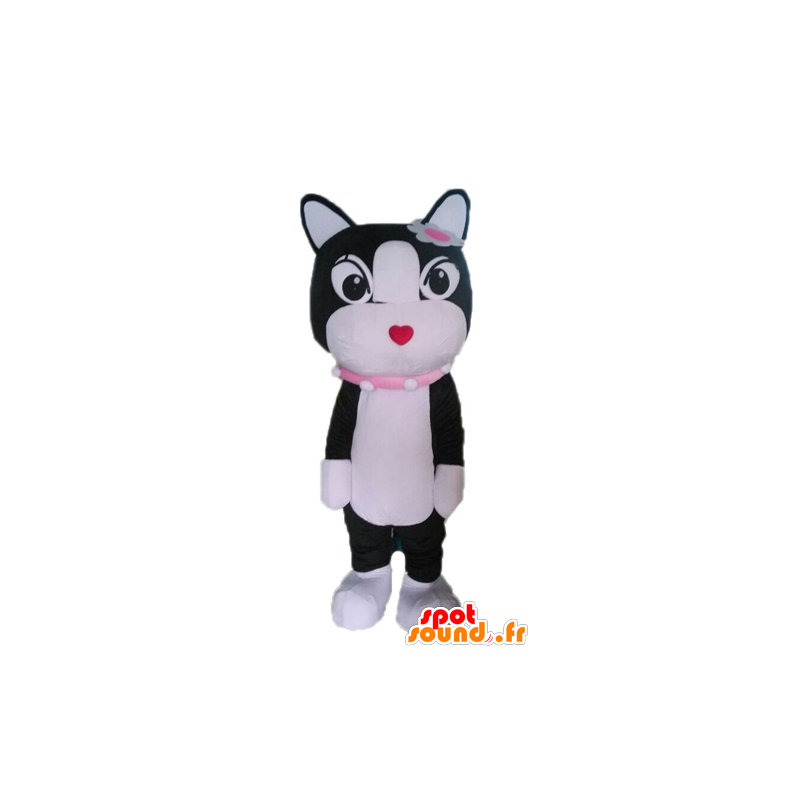 黒と白の猫のマスコット。子猫のマスコット-MASFR028596-猫のマスコット