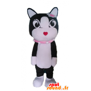 Czarno-biały kot maskotka. kotek Mascot - MASFR028596 - Cat Maskotki