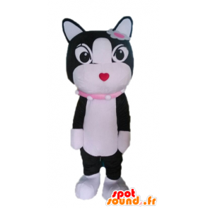 Schwarz-weiße Katze Maskottchen. Kätzchen Maskottchen - MASFR028596 - Katze-Maskottchen