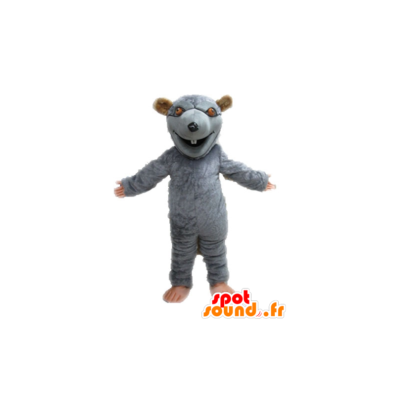 Mascotte de rat gris et marron, géant. Mascotte de rongeur - MASFR028643 - Mascotte de souris