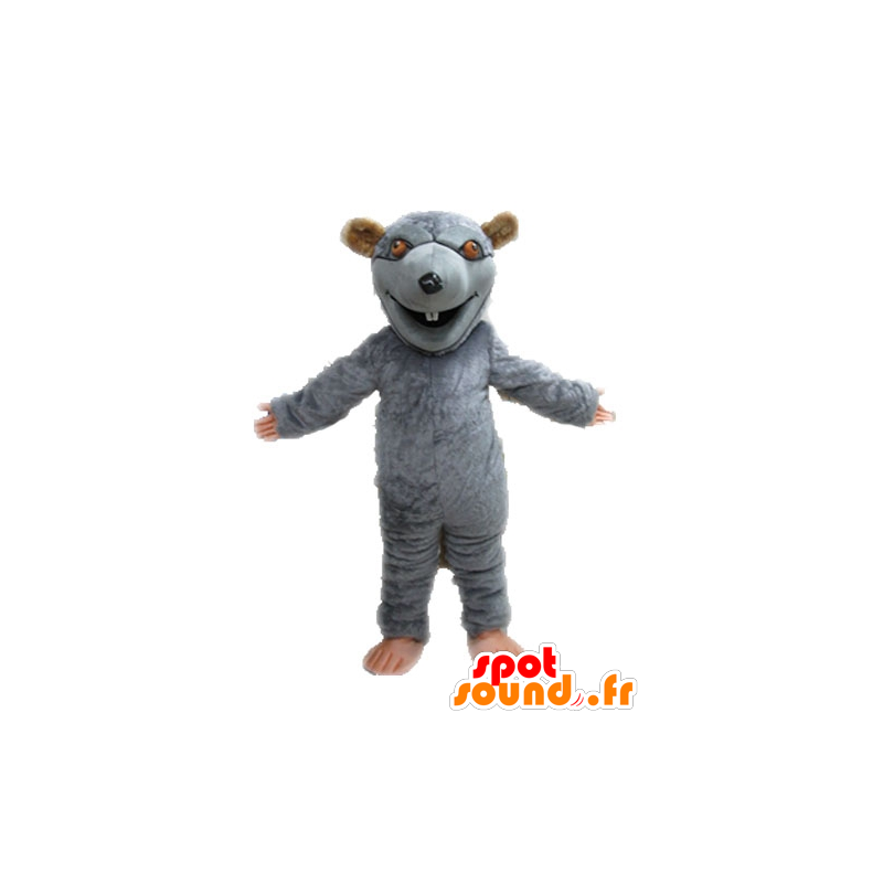 Mascotte grigio e marrone topo, gigante. roditore mascotte - MASFR028643 - Mascotte del mouse