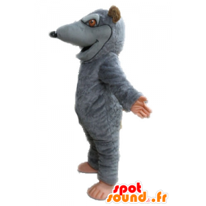 Maskot šedá a potkani, obří. hlodavec maskot - MASFR028643 - myš Maskot