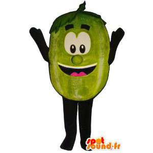 Melon maskotka. melon kostiumu - MASFR007264 - owoce Mascot