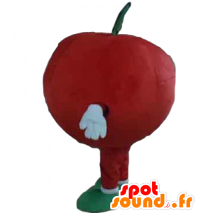 Gigante mela rossa e sorridente mascotte - MASFR028647 - Mascotte di frutta