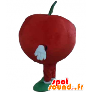 Obra s úsměvem a červené jablko maskot - MASFR028647 - fruit Maskot