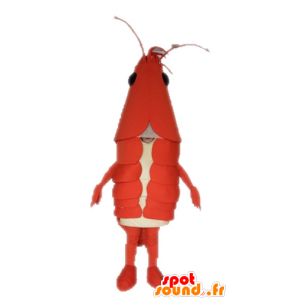 Mascota de langosta gigante. cangrejos de la mascota - MASFR028657 - Langosta de mascotas