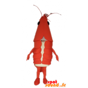 Giant kreeft mascotte. Mascot rivierkreeft - MASFR028657 - mascottes Lobster