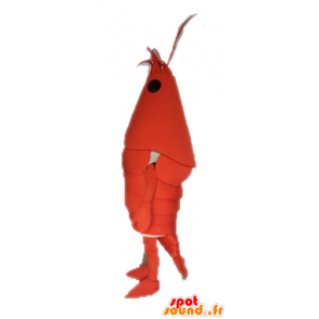 Giant hummer maskot. Mascot kreps - MASFR028657 - Maskoter Lobster