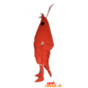 Jättiläinen hummeri maskotti. maskotti ravut - MASFR028657 - maskotteja Lobster