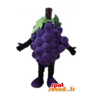 Mucchio gigante di uva mascotte. mascotte della frutta - MASFR028664 - Mascotte di frutta