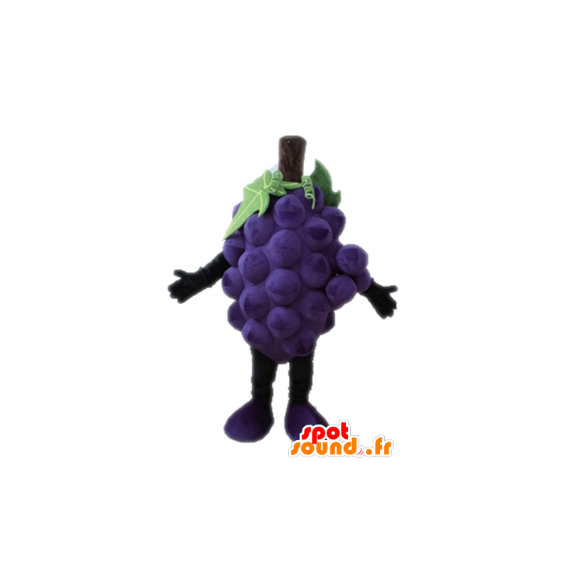 Mascotte de grappe de raisin géante. Mascotte de fruit - MASFR028664 - Mascotte de fruits