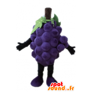 Mascotte de grappe de raisin géante. Mascotte de fruit - MASFR028664 - Mascotte de fruits