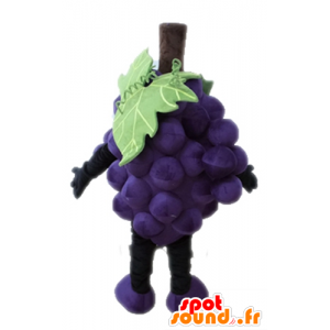Mucchio gigante di uva mascotte. mascotte della frutta - MASFR028664 - Mascotte di frutta