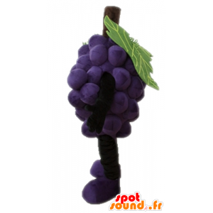 Giant bunch of grapes mascot. Mascot fruit - MASFR028664 - Fruit mascot