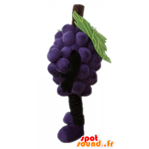 Mascotte de grappe de raisin géante. Mascotte de fruit - MASFR028664 - Mascotte de fruits