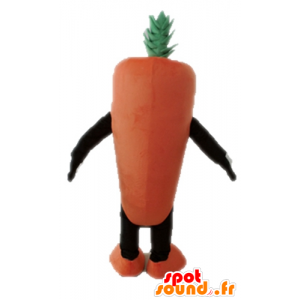 Mascot reuzewortel. plantaardige mascotte - MASFR028668 - Vegetable Mascot