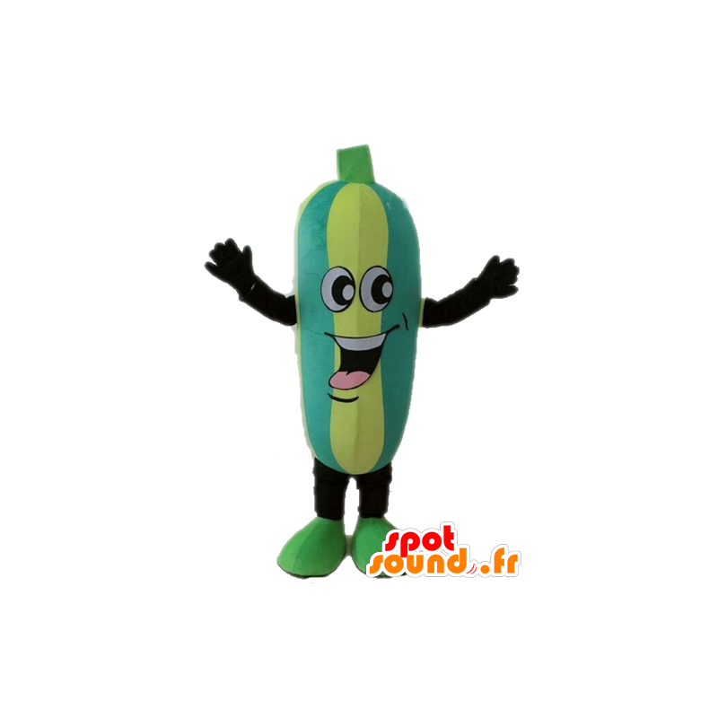 Mascot two-colored zucchini. Cucumber mascot - MASFR028671 - Mascot of vegetables