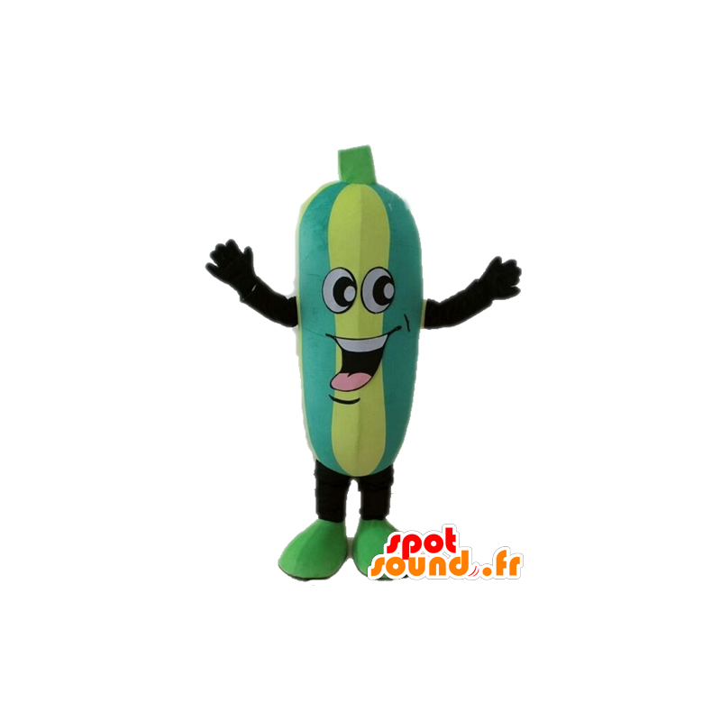 Mascotte de courgette bicolore. Mascotte de concombre - MASFR028671 - Mascotte de légumes