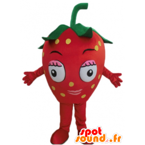 Mascot gigante rojo fresa. mascota de frutos rojos - MASFR028691 - Mascota de la fruta