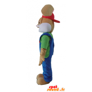 Macaco castanho coelho mascote vestidas - MASFR028694 - coelhos mascote