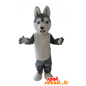 Husky Mascot. koira maskotti harmaa ja valkoinen susi - MASFR028699 - koira Maskotteja