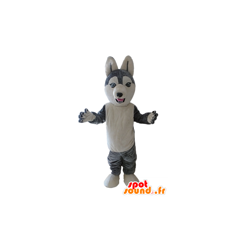 Mascotte de Husky. Mascotte de chien loup gris et blanc - MASFR028699 - Mascottes de chien