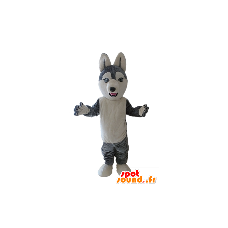 Husky maskot. psí maskot šedé a bílé vlk - MASFR028699 - psí Maskoti