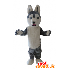 Husky-Maskottchen. Hund Maskottchen grau und weiß Wolf - MASFR028699 - Hund-Maskottchen