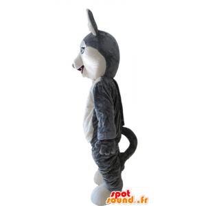 Mascotte Husky. cane mascotte grigio e lupo bianco - MASFR028699 - Mascotte cane