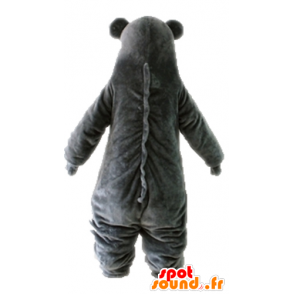 Mascot Baloo, der Bär berühmten Dschungelbuch - MASFR028703 - Bär Maskottchen
