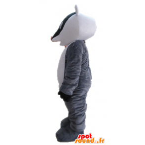 Mascotte tricolore skunk. mascotte procione - MASFR028710 - Mascotte di cuccioli