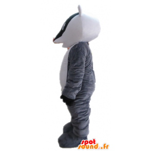 Mascot tricolor skunk. Mascot vaskebjørn - MASFR028710 - Maskoter av valper