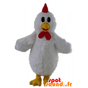 Mascot gigante gallina bianca. gallo mascotte bianca - MASFR028718 - Mascotte di galline pollo gallo