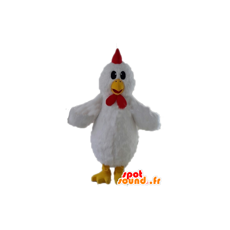 Mascot gigante gallina bianca. gallo mascotte bianca - MASFR028718 - Mascotte di galline pollo gallo